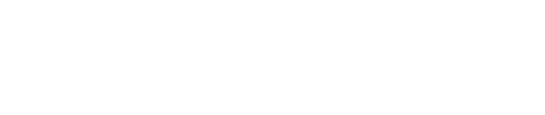 BASS Consultores